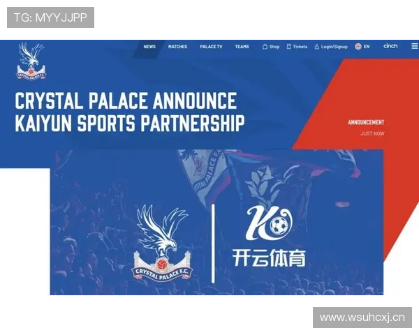 深度剖析开云体育滚球的市场前景及潜在挑战